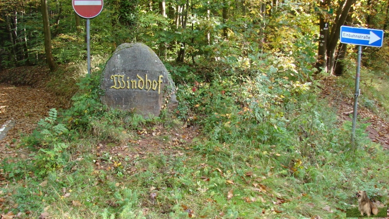 Ritterstein Nr. 221-3b Windhof.JPG - Ritterstein Nr.221 Windhof